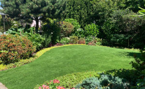 ace turf artificial grass installation