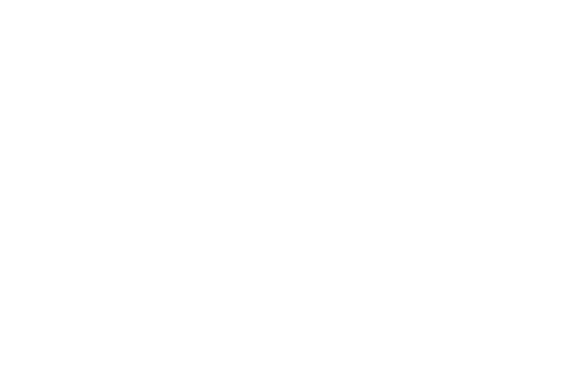 Ace Turf